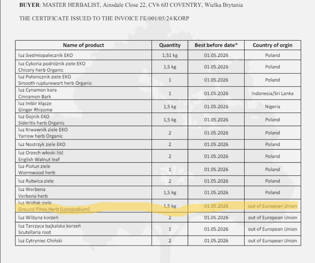 Club Moss herb tea (Lycopodium clavatum - L.) Lab-proven Quality and Purity