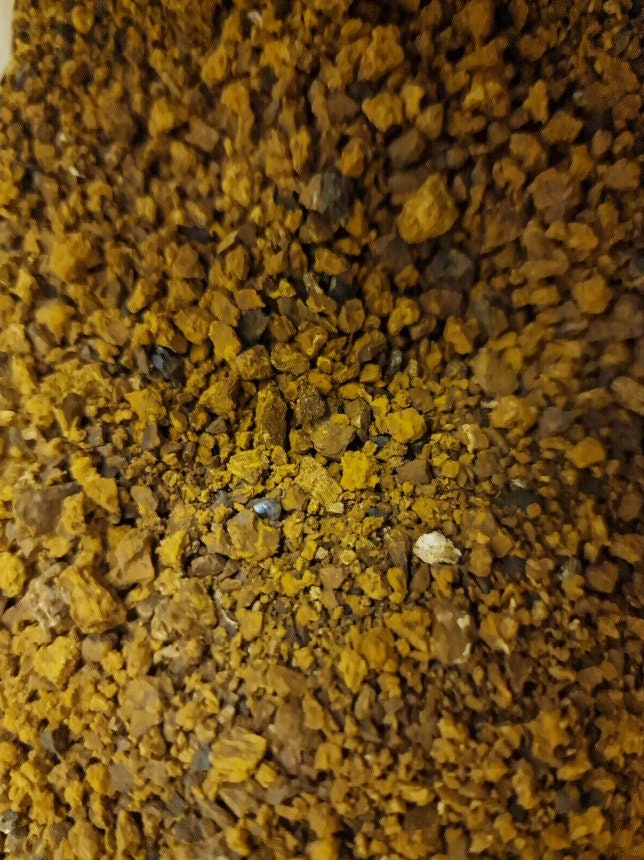 close up of wild crafted Chaga mushroom chunks