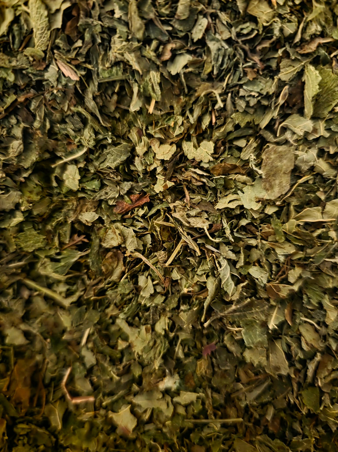 Botanical Remedies Organic Lemon balm giving away free tasters