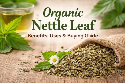 Organic Nettle Leaf: Benefits, Uses & Buying in the UK