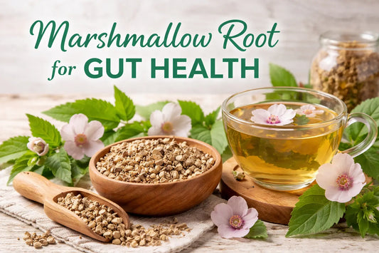 Marshmallow Root for Gut Health