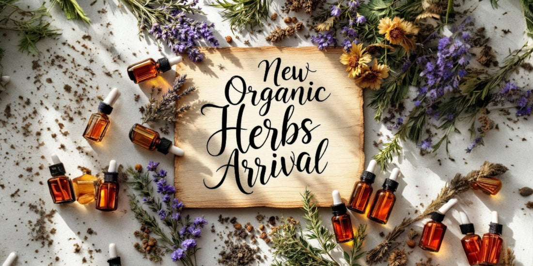 New Organic herbs arrivals