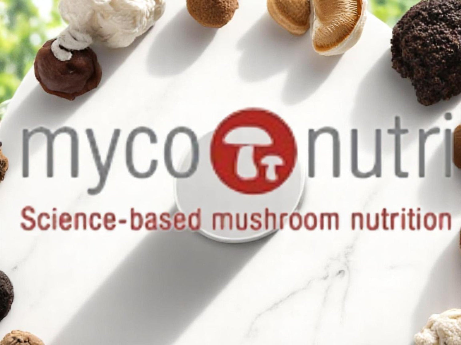 MycoNutri mushroom Products