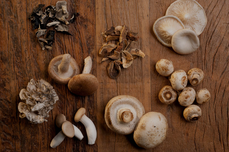 Mushroom Nutrition