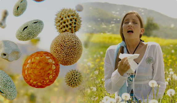 High Pollen Support & Springtime Herbs | Botanical Remedies