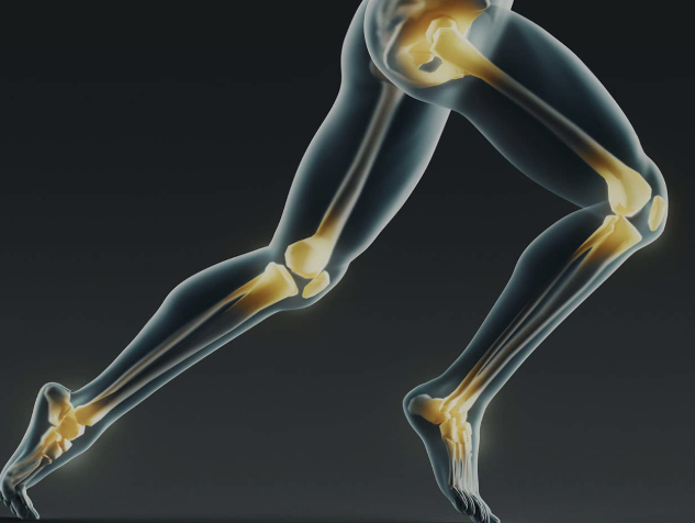Joints and mobility