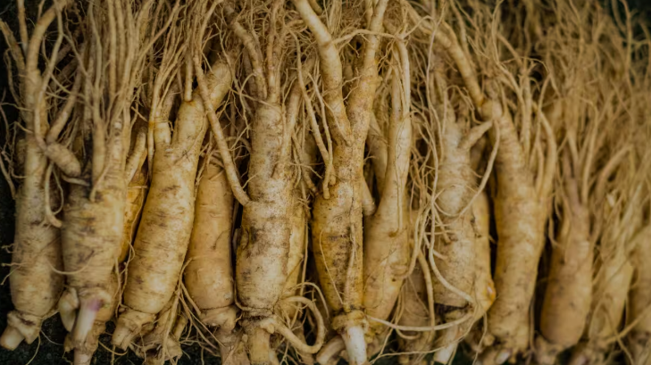 Korean Ginseng Products