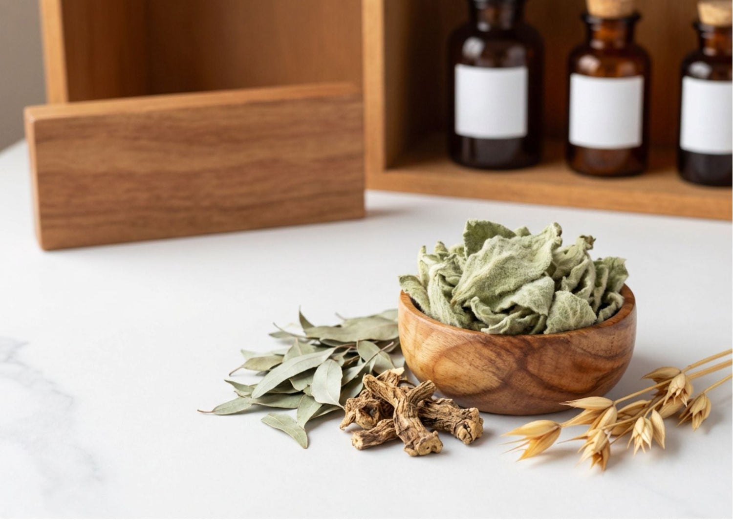 A soothing apothecary arrangement of dried fluffy mullein leaves, silvery eucalyptus leaves, and elecampane root resting on a pristine white marble table inside the Botanical Remedies traditional herbal dispensary.