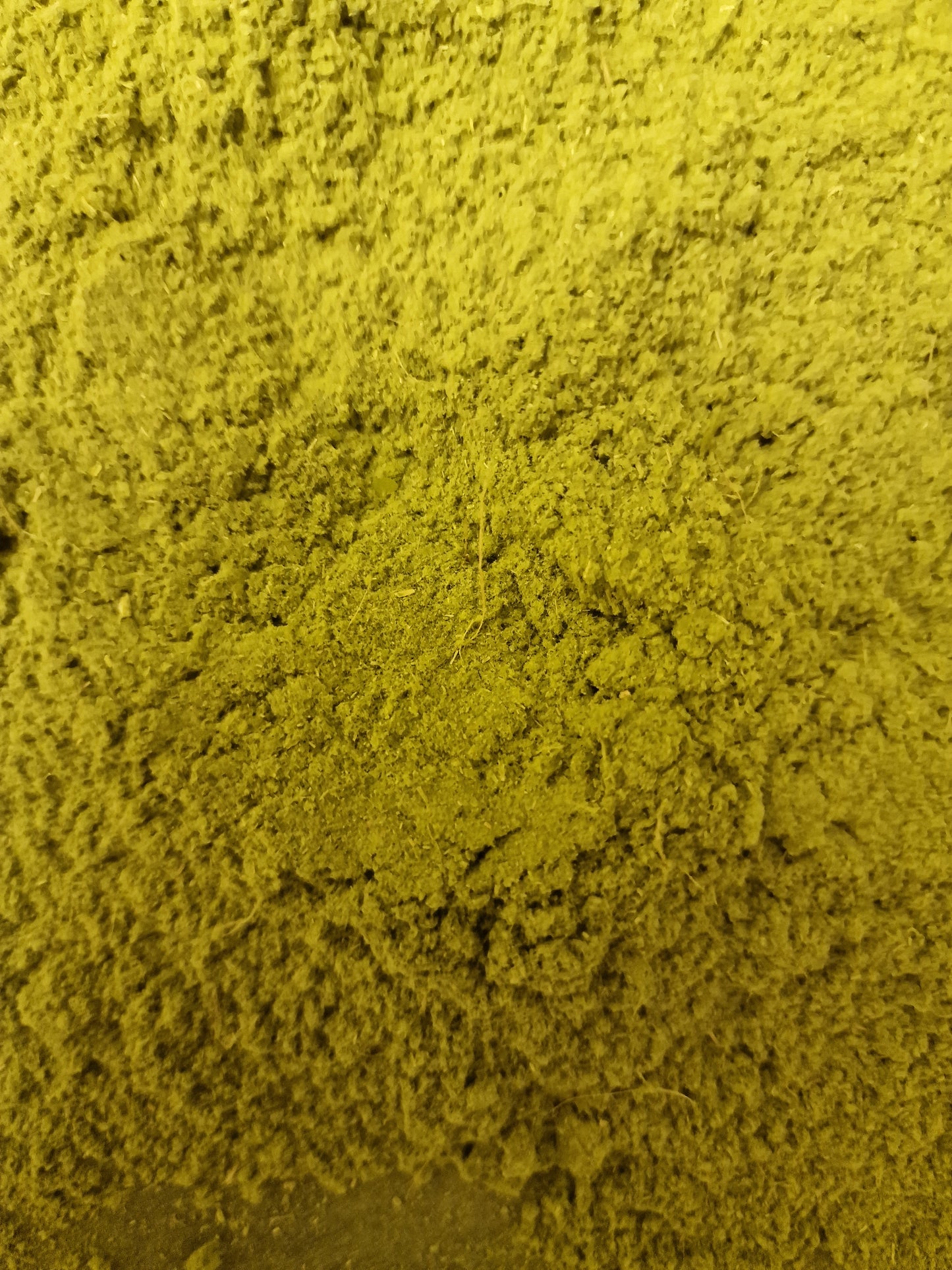 Willow powdered leaf tea (Salix alba L.)