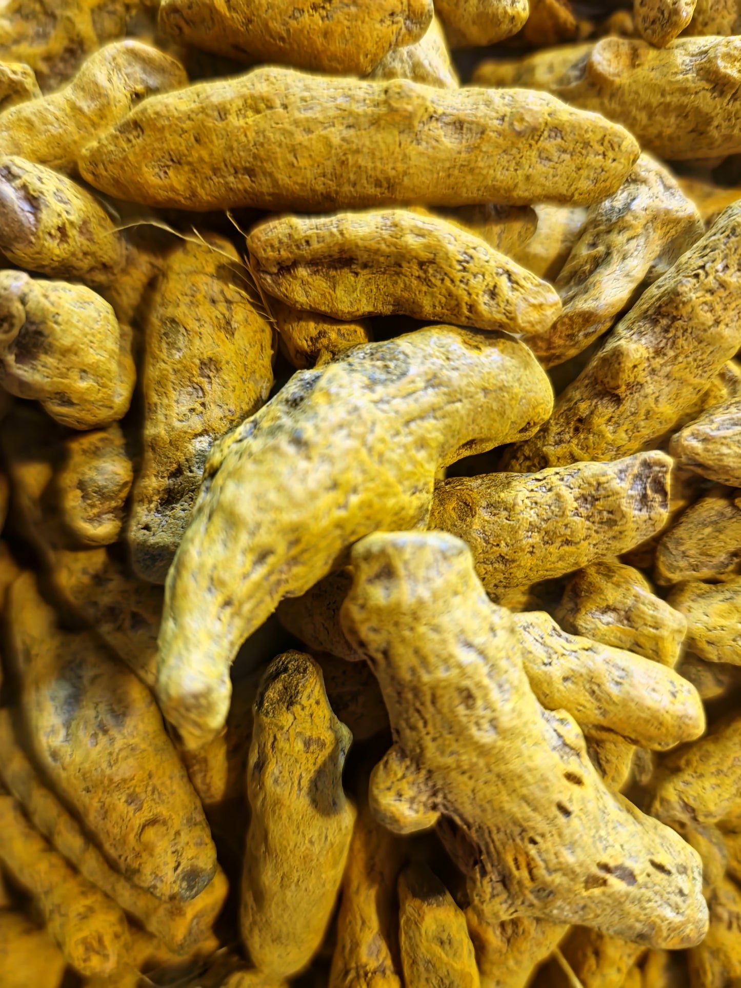 Turmeric root whole fingers (Curcuma longa L.) Lab-proven Quality and Purity