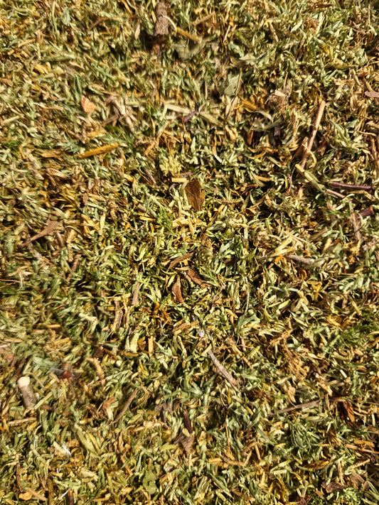 Club Moss herb tea (Lycopodium clavatum - L.)