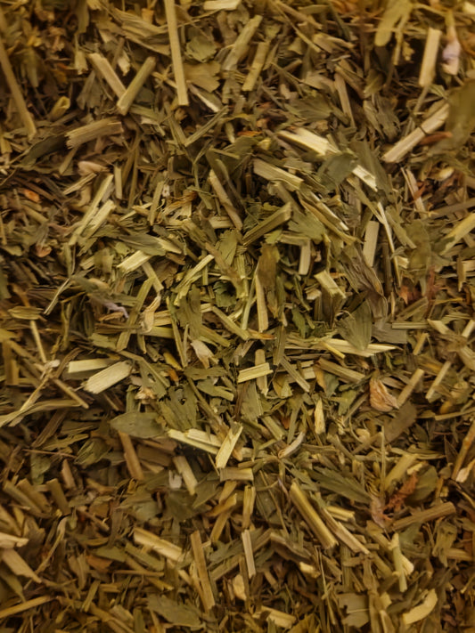 Goats Rue herb tea (Galega officinalis L.)
