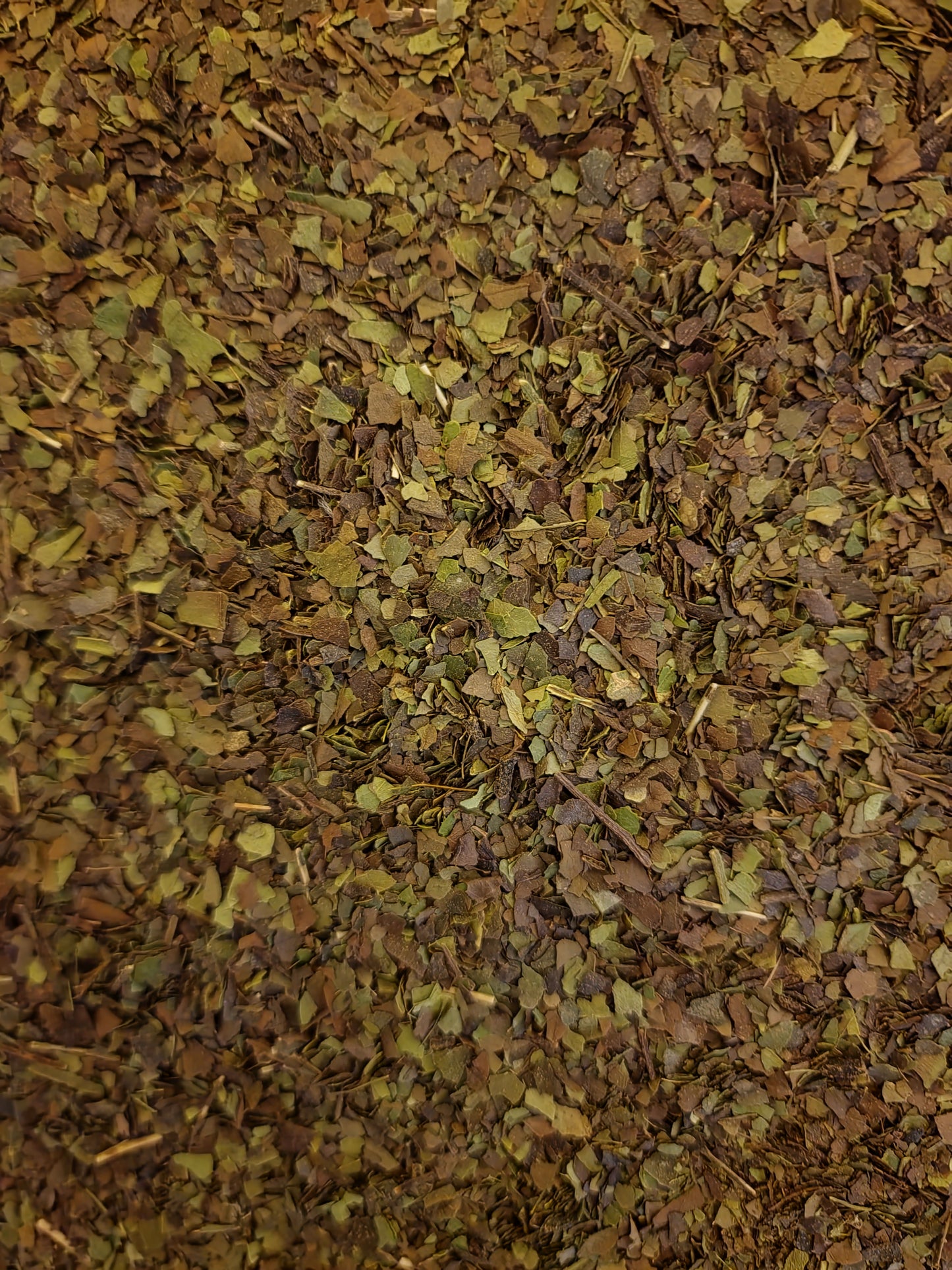 Amazonian Guayusa leaf tea (Ilex guayusa Loes.) Lab-proven Quality and Purity