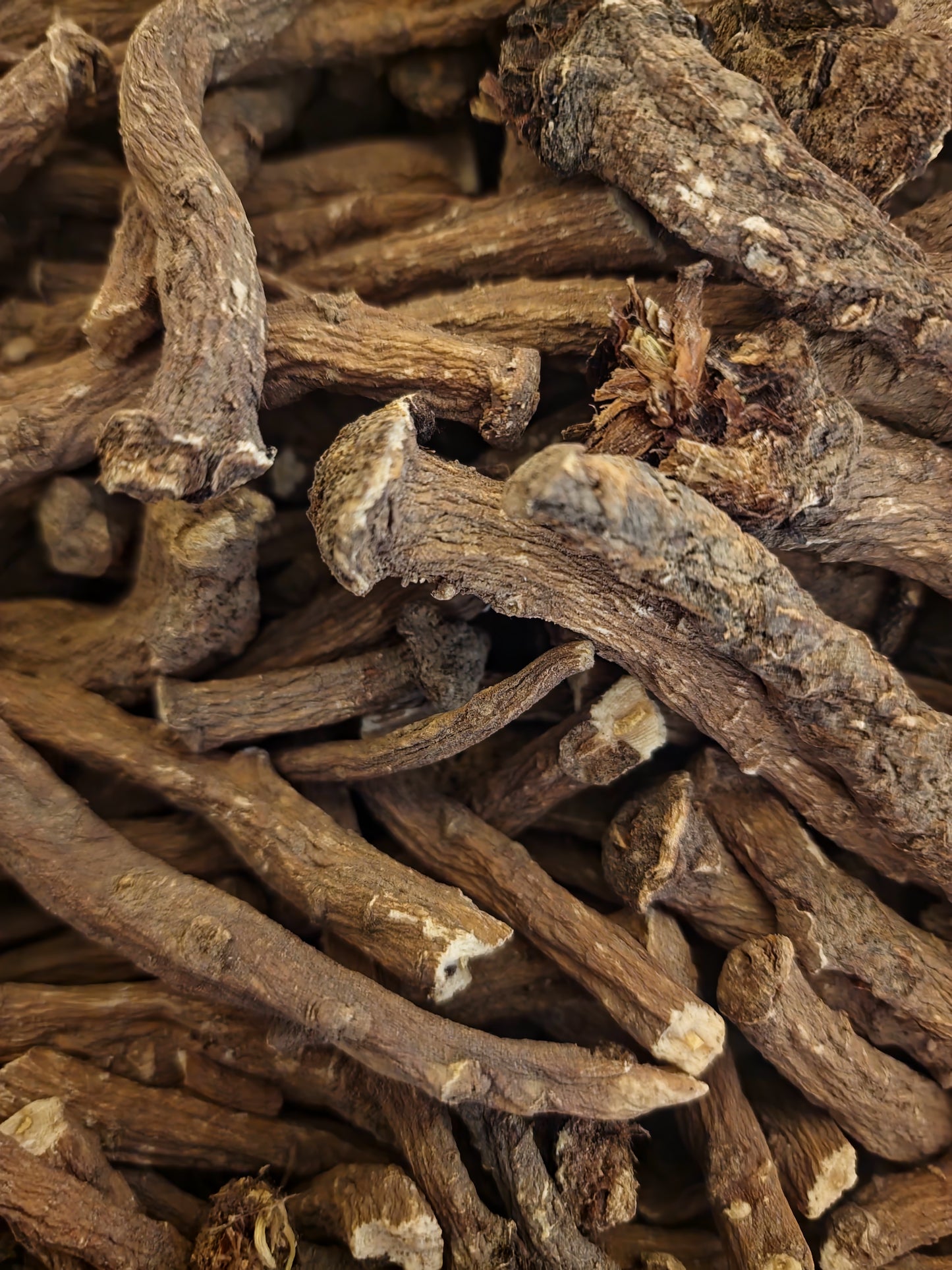 Dandelion whole root tea (Taraxacum officinale Webb.)