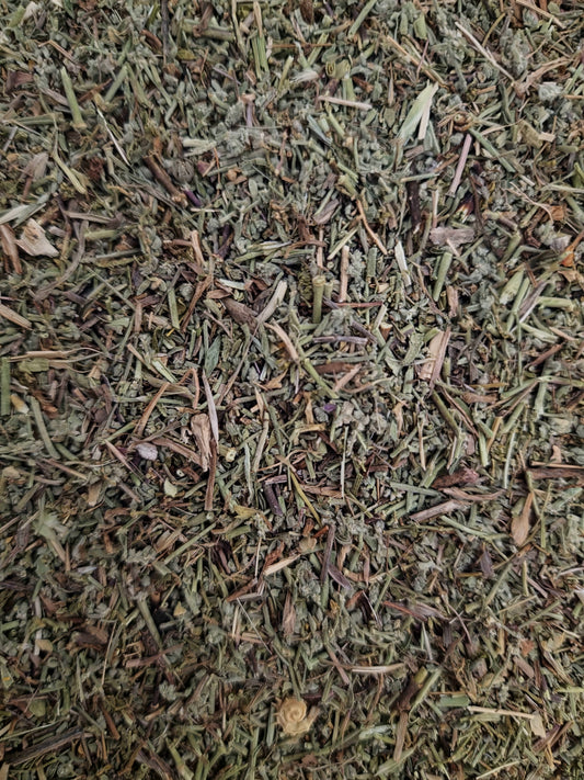 Organic Rupturewort herb tea (Herniaria glabra - L.) Lab-proven Quality and Purity