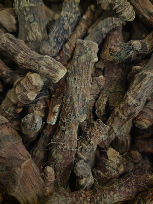 Sweet flag whole root tea (Acurus calamus L.)