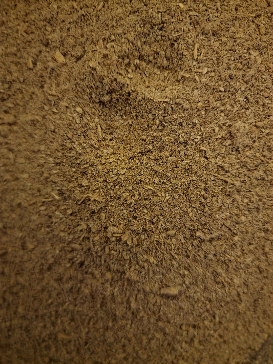 Burdock ground root tea(Articum lappa L.)