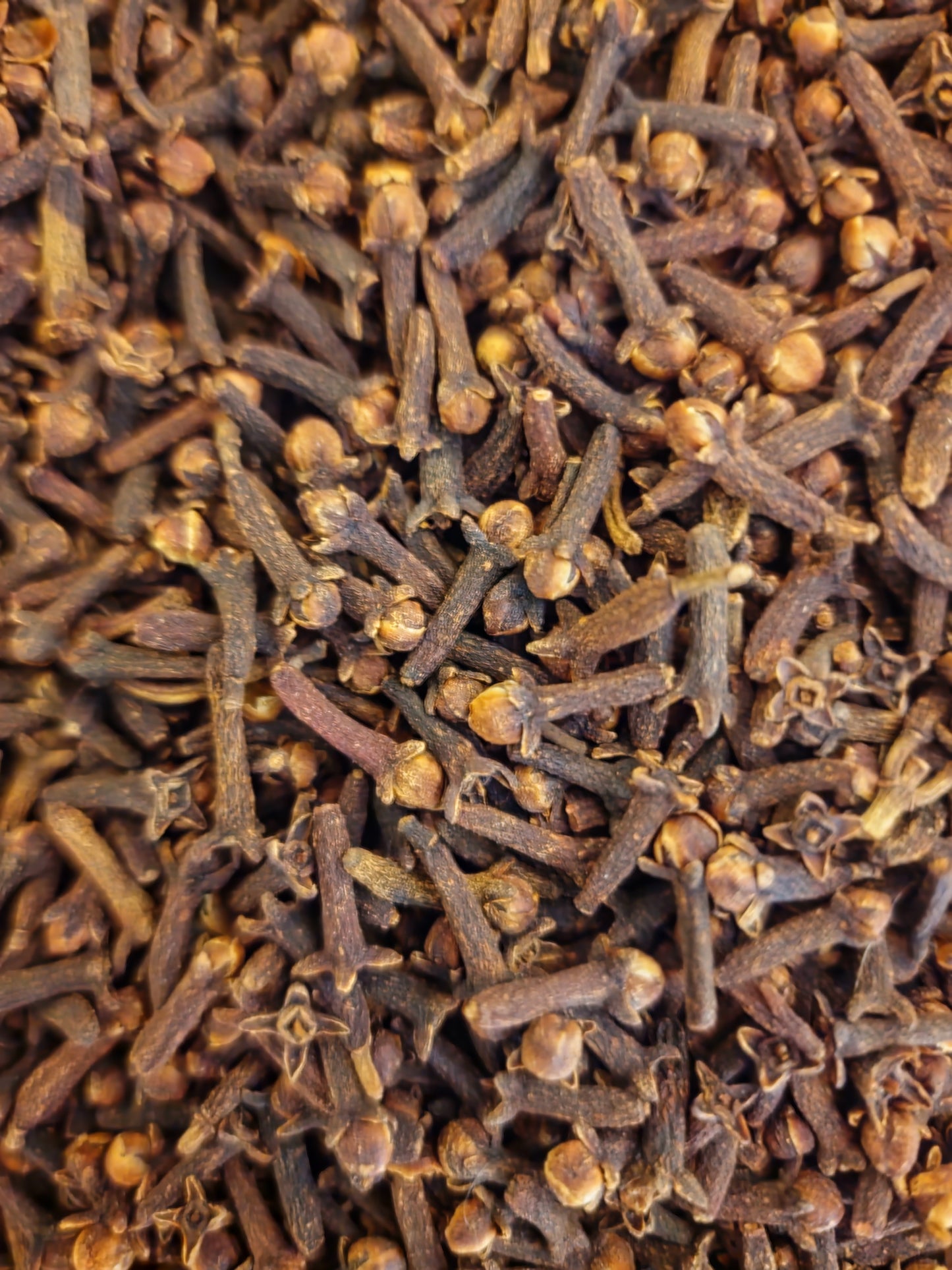 Cloves whole tea (Syzygium aromaticum - (L.) Merr. & L.M.Perry) Lab-proven Quality and Purity