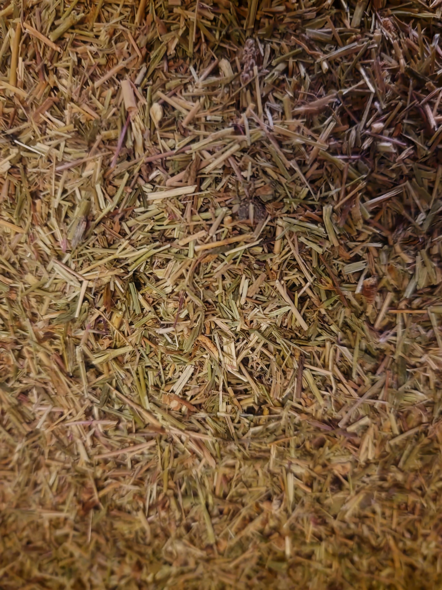 Centaury herb tea (Centaurium erythraea - Rafn.) Lab-proven Quality and Purity