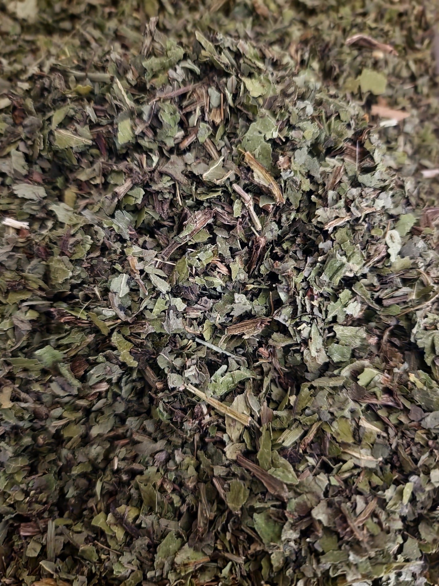 Organic Cabbage Thistle herb tea(Cirsium oleraceum (L.)Scop.) Lab-proven Quality and Purity