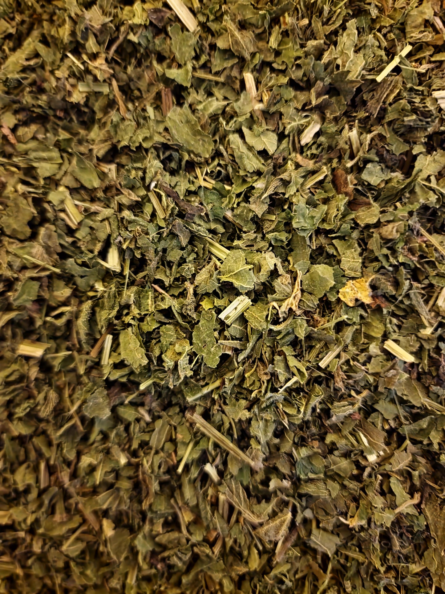 Organic Nettle herb tea (Urtica dioica L.) Lab-proven Quality and Purity