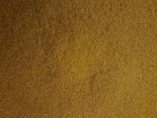 Cardamom powder (Elettaria cardamomum (L.) Maton)