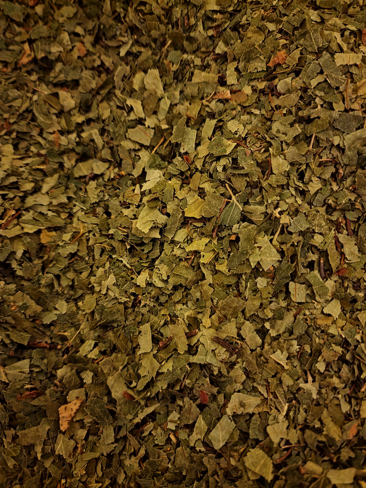 Birch leaf tea (Betula pendula Roth.) Lab-proven Quality and Purity