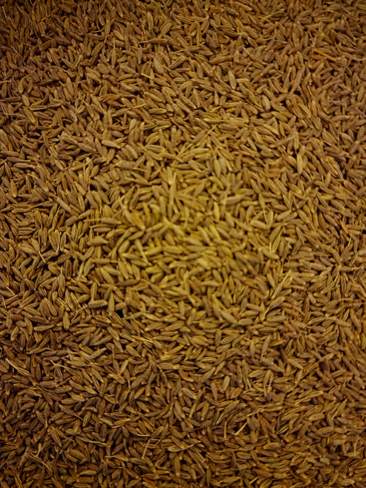 Cumin seeds (Cuminum cyminum - L.)