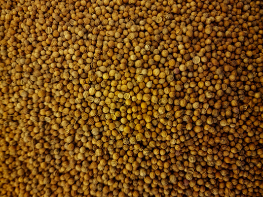 Coriander seeds (Coriandrum sativum - L.)