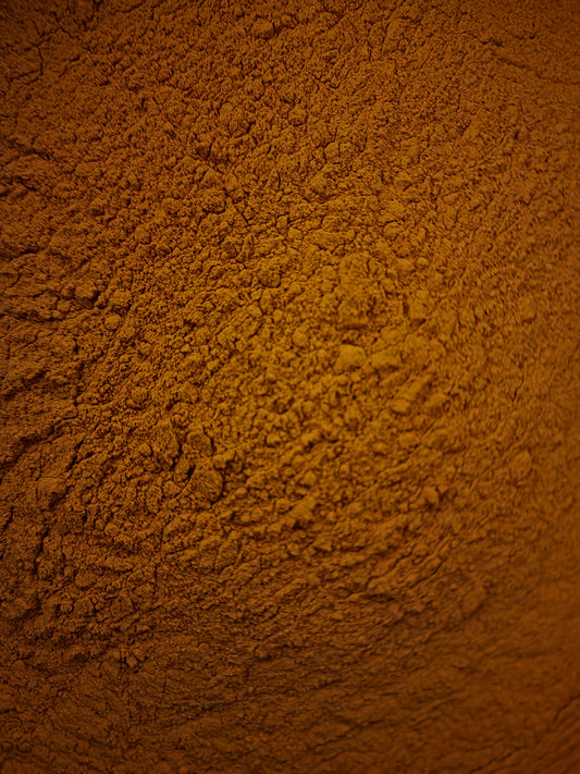 Turmeric powder (Curcuma longa)