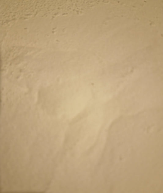 Inulin powder (Cichorium intybus L.)