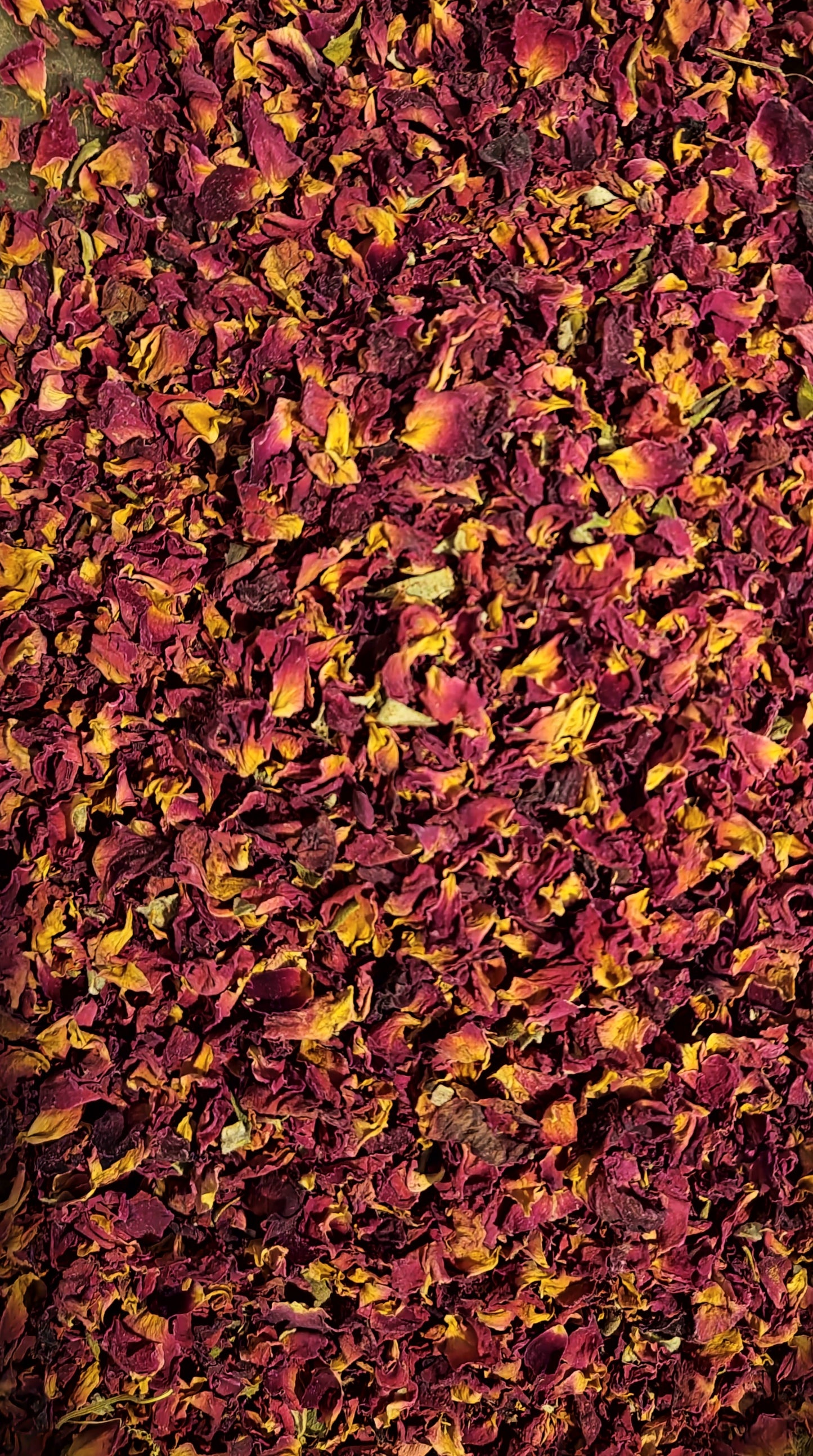 Rose petals red tea (Rosa spp.) Lab proven Quality and Purity