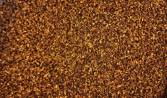 Honeybush tea (Cyclopia intermedia E.Mey.)