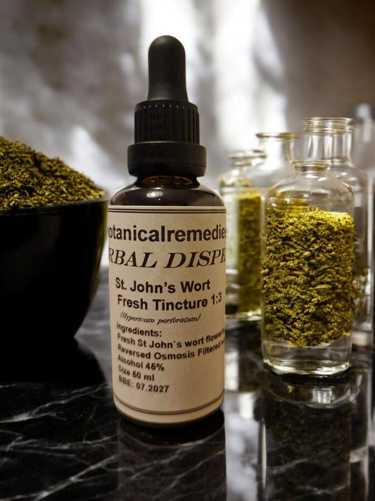 St. John’s Wort tincture fresh (Hypericum perforatum L.)