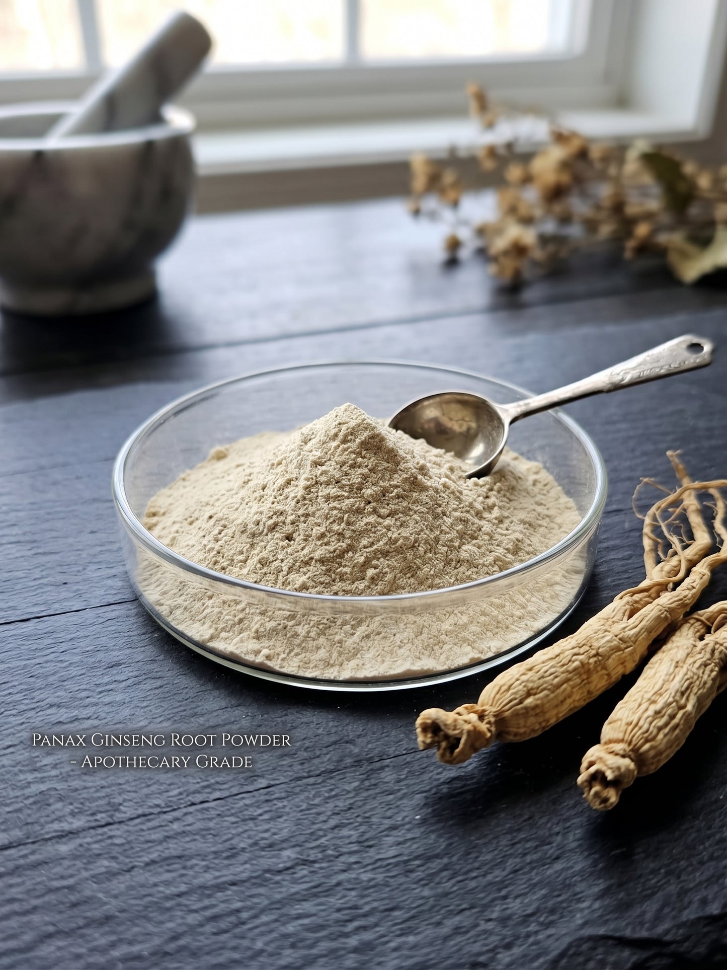 Premium 5 years old Panax Ginseng Root Powder shown in a glass petri dish on natural wood, displayed next to whole dried ginseng roots and a vintage silver scoop