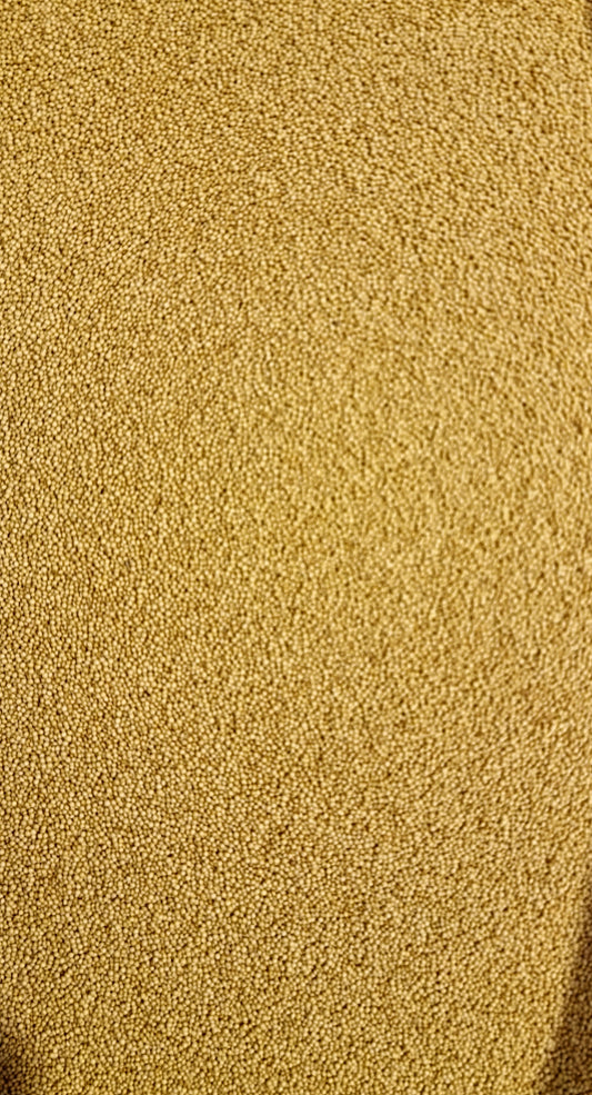 close up of Amaranth Seeds, an superfood from Botanical remedies herbal dispensary