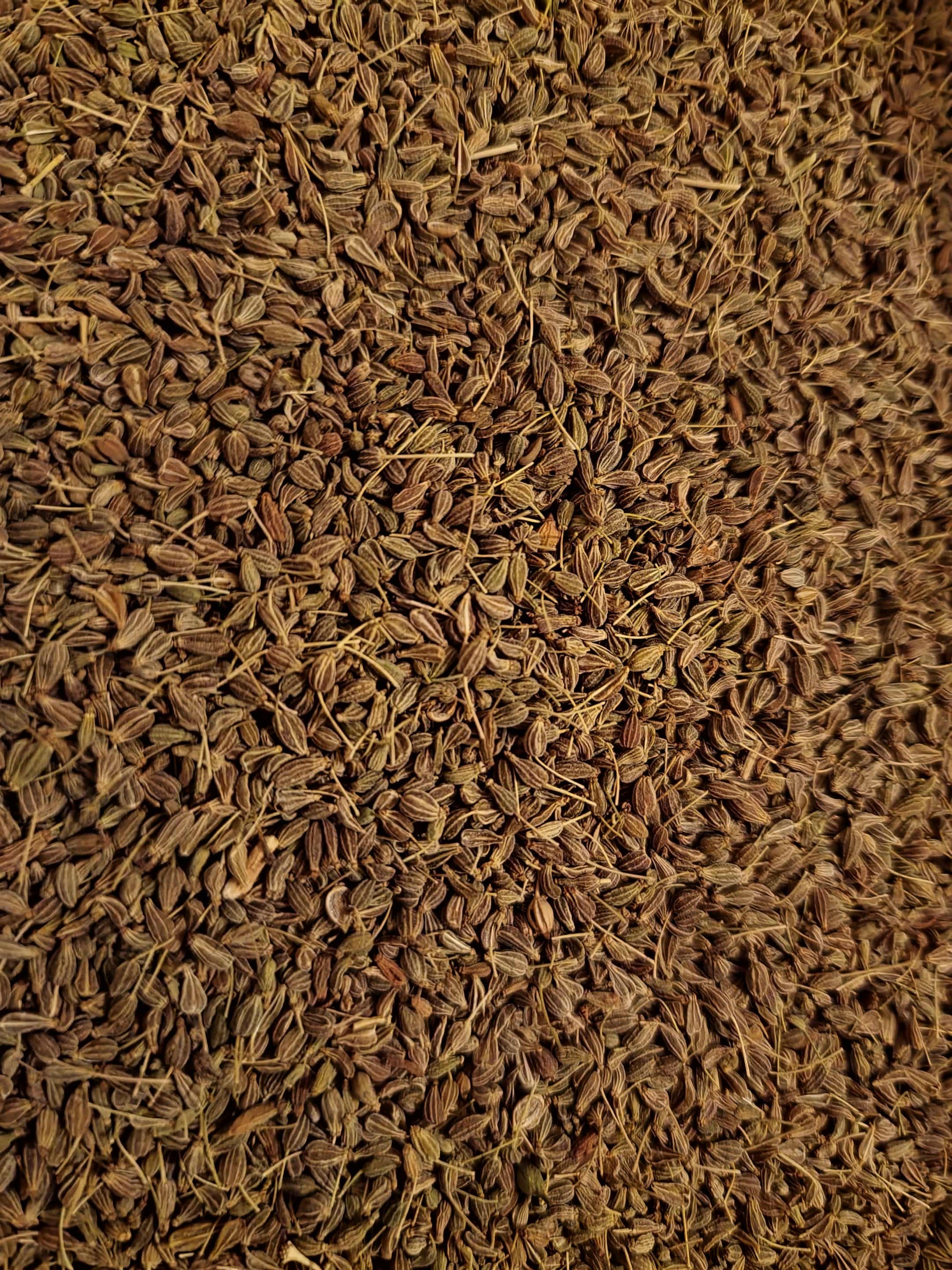 Close-up of dried Anise seeds, herbal remedy from Botanical Remedies herbal dispensary, loose herbal tea