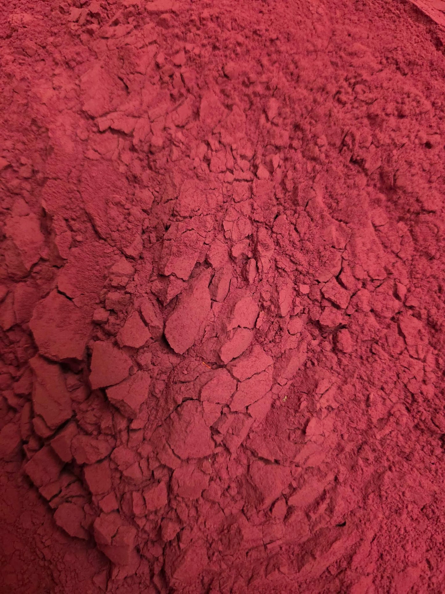 Close-up of Beetroot powder Nitrate rich superfood and herbal remedy from Botanical Remedies herbal dispensary