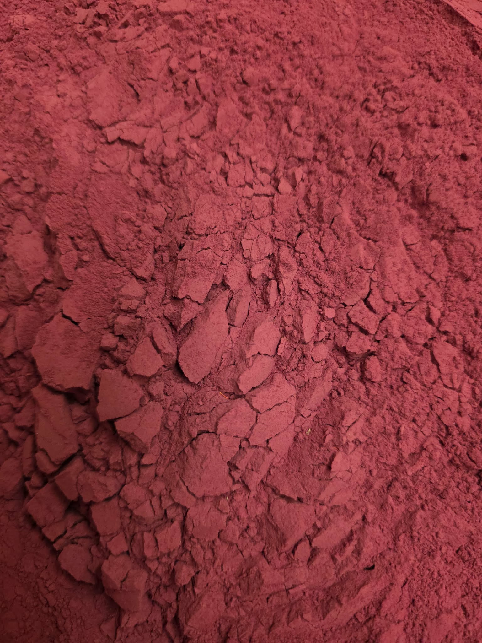Close-up of Beetroot powder Nitrate rich superfood and herbal remedy from Botanical Remedies herbal dispensary