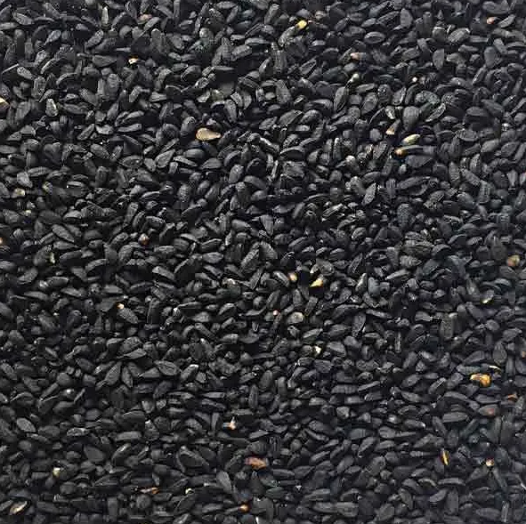 Close up of Black cumin seeds, nigella sativa, an herbal remedy from Botanical remedies herbal dispensary