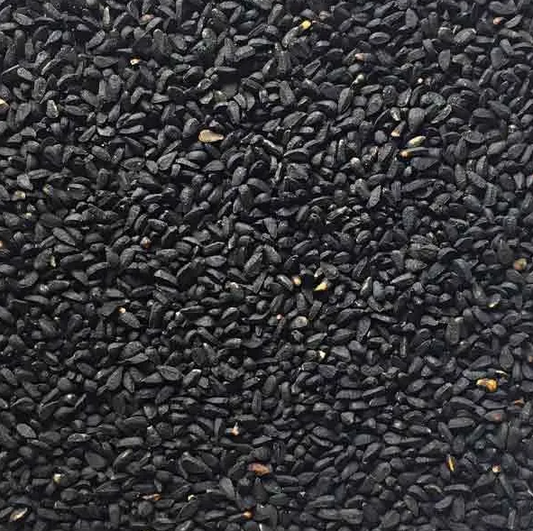 Close up of Black cumin seeds, nigella sativa, an herbal remedy from Botanical remedies herbal dispensary