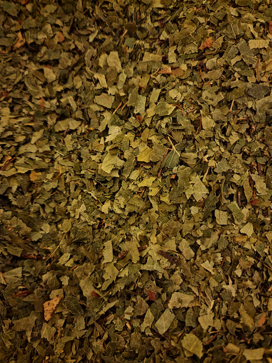 close up of Botanical Remedies Birch leaf, an herbal remedy, loose herbal tea