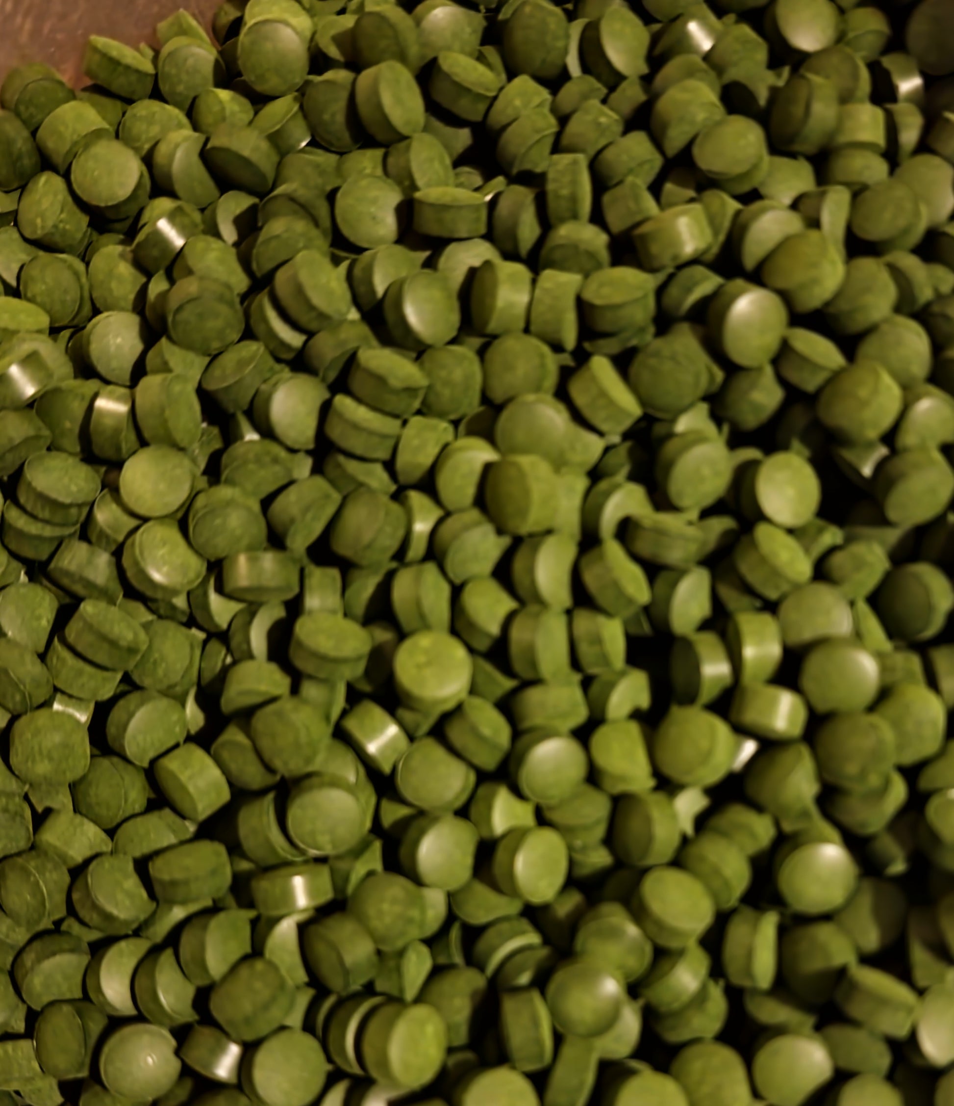 Close up of Chlorella tablets from Botanical Remedies, an superfood, herbal remedy