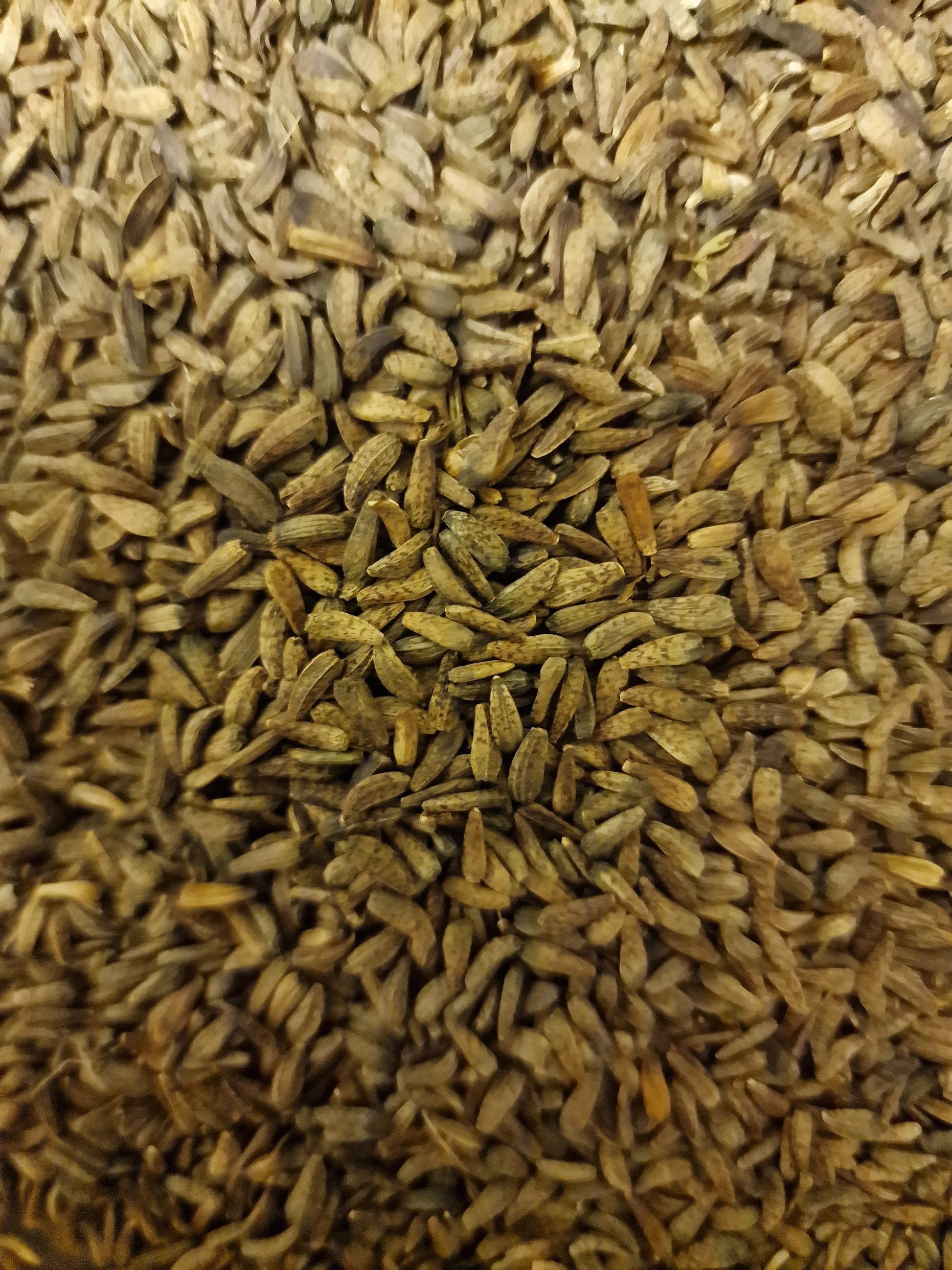 close up of dried Burdock seeds, an herbal remedy, loose herbal tea