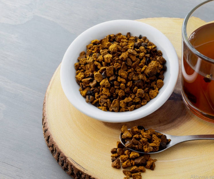 close up of wild crafted chaga mushroom chunks and chaga tea