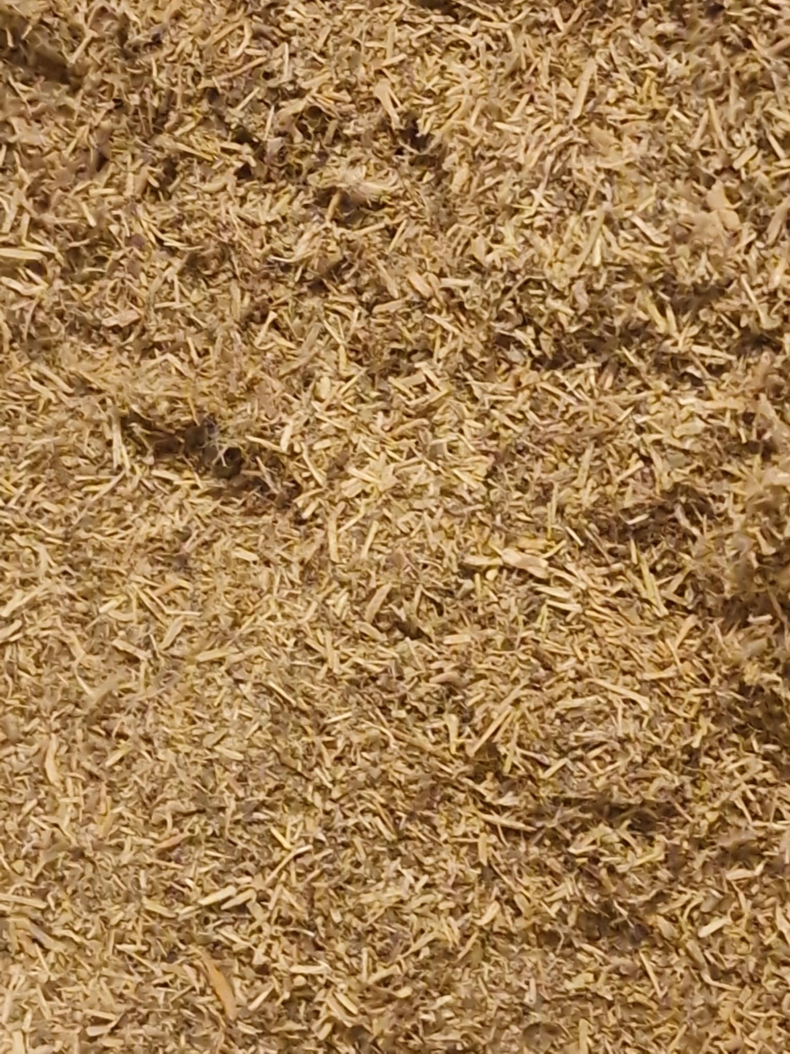 Chanca piedra herb dried and cut