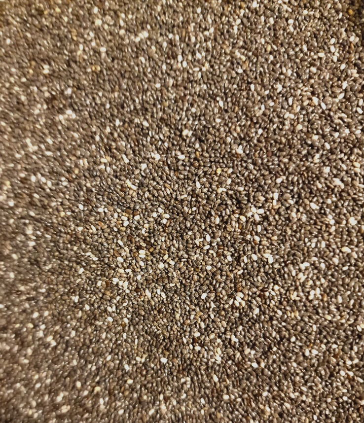 close up of dried Chia seeds, an superfood from Botanical Remedies herbal dispensary