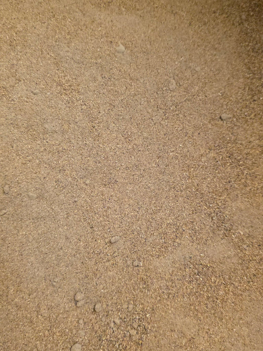 Close up of natural chicory root powder (inulin high) prebiotic, digestive aid and support for gut health from Botanical Remedies herbal dispensary