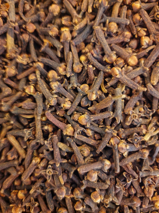 close up of dried Cloves, loose herbal tea and spice from Botanical Remedies herbal dispensary