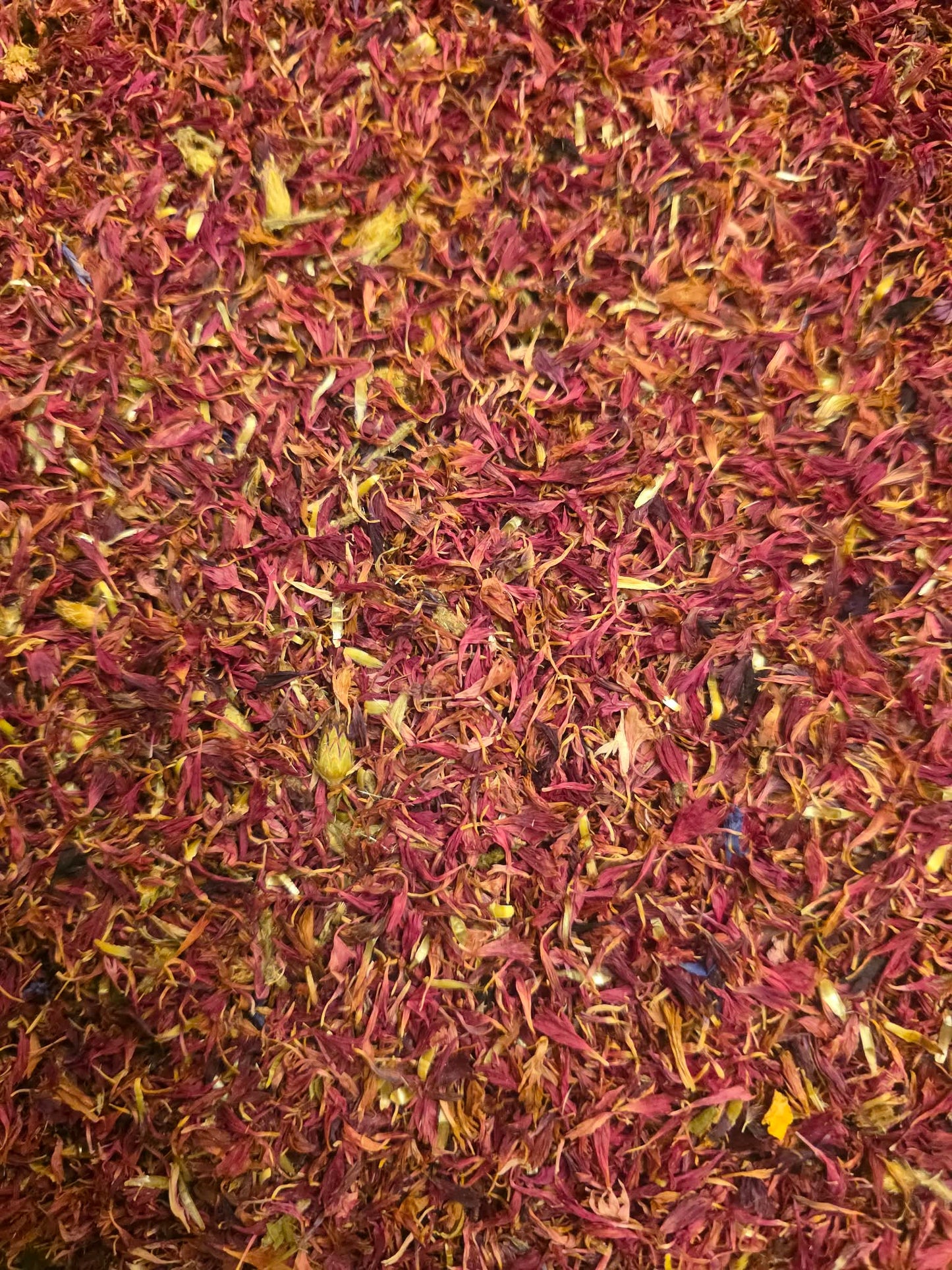 Close-up of dried Cornflower Red petals, an herbal remedy, natural confetti, or cosmetic ingredient from Botanical Remedies herbal dispensary